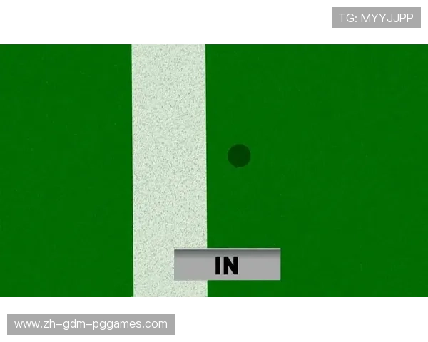 羽毛球使用鹰眼