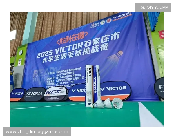 羽毛球胜利品牌logo